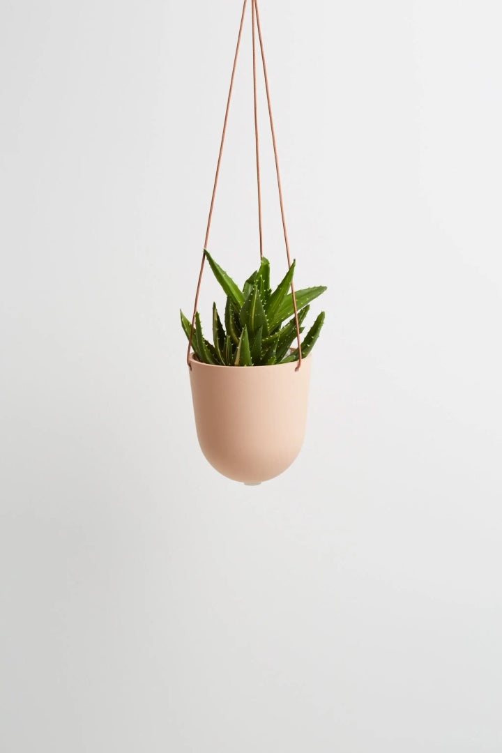 Block Colour Hanging Pot Salt