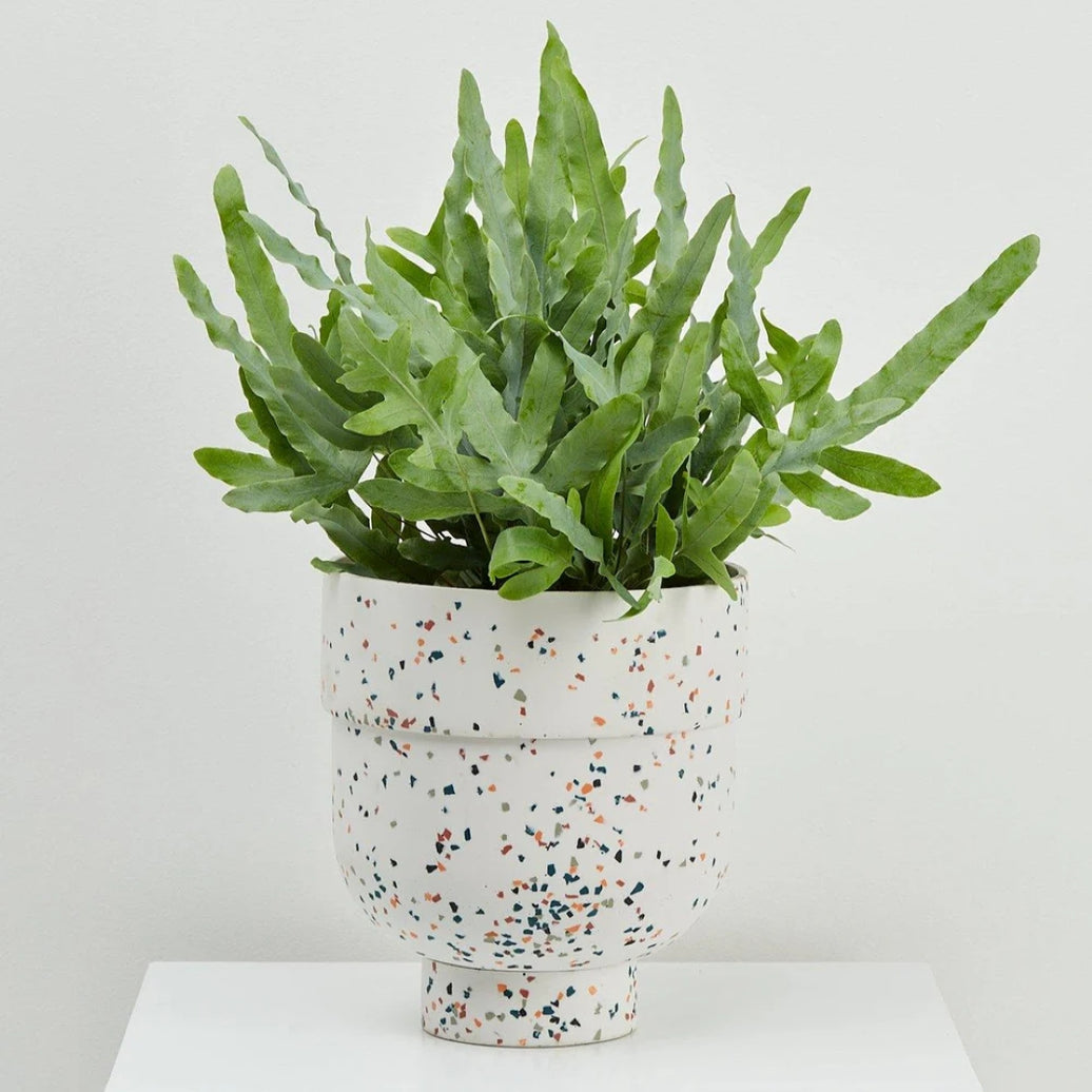 Funnel Planter White Terrazzo