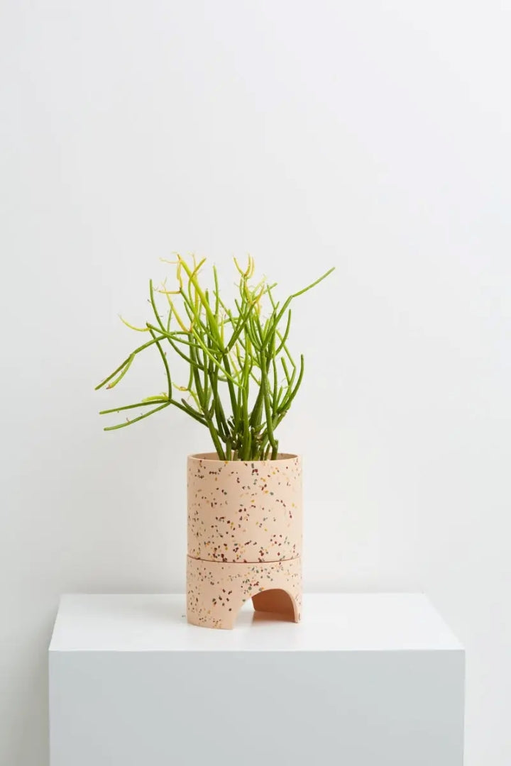 Archie Pot Salt Terrazzo