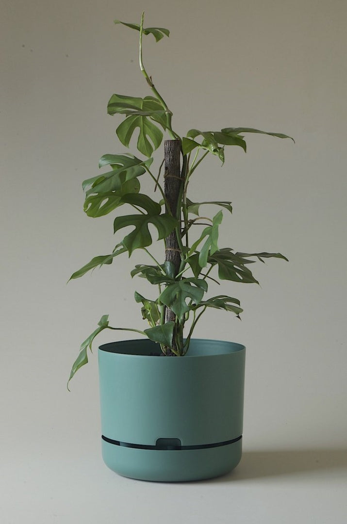 300mm Selfwatering Plant Pot