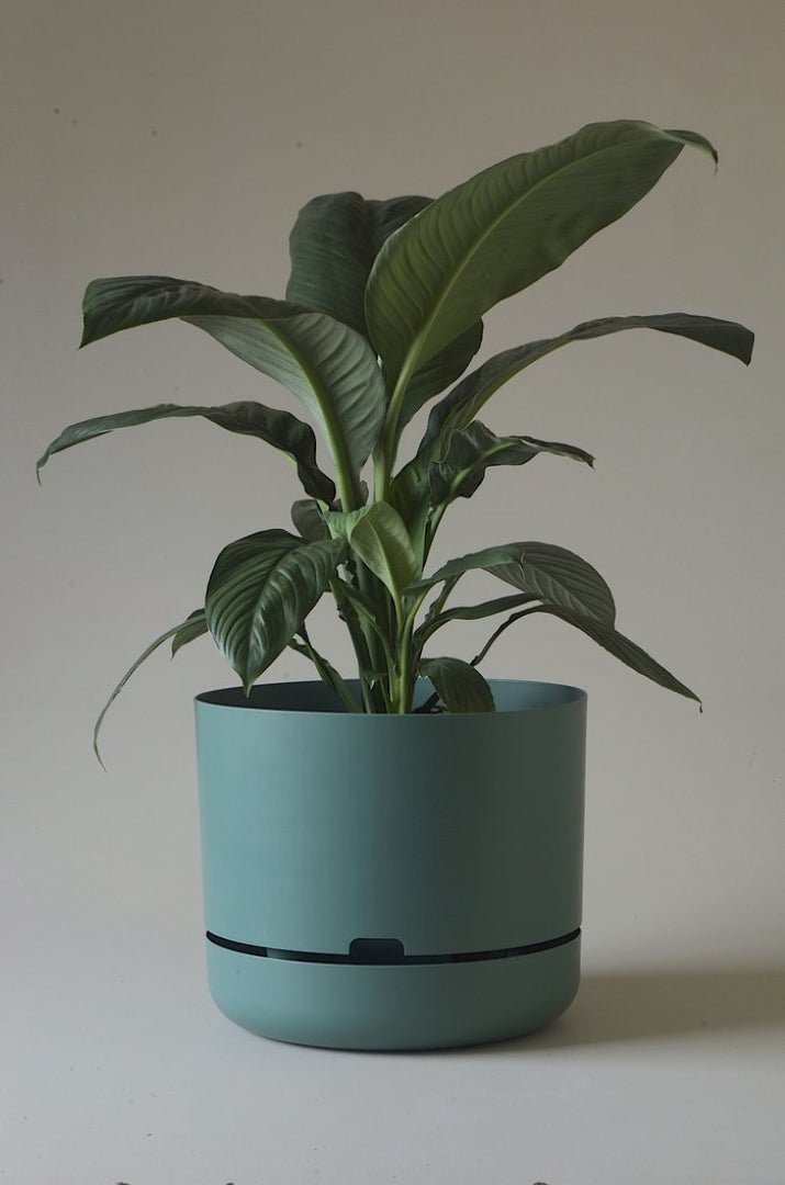 375mm Selfwatering Plant Pot