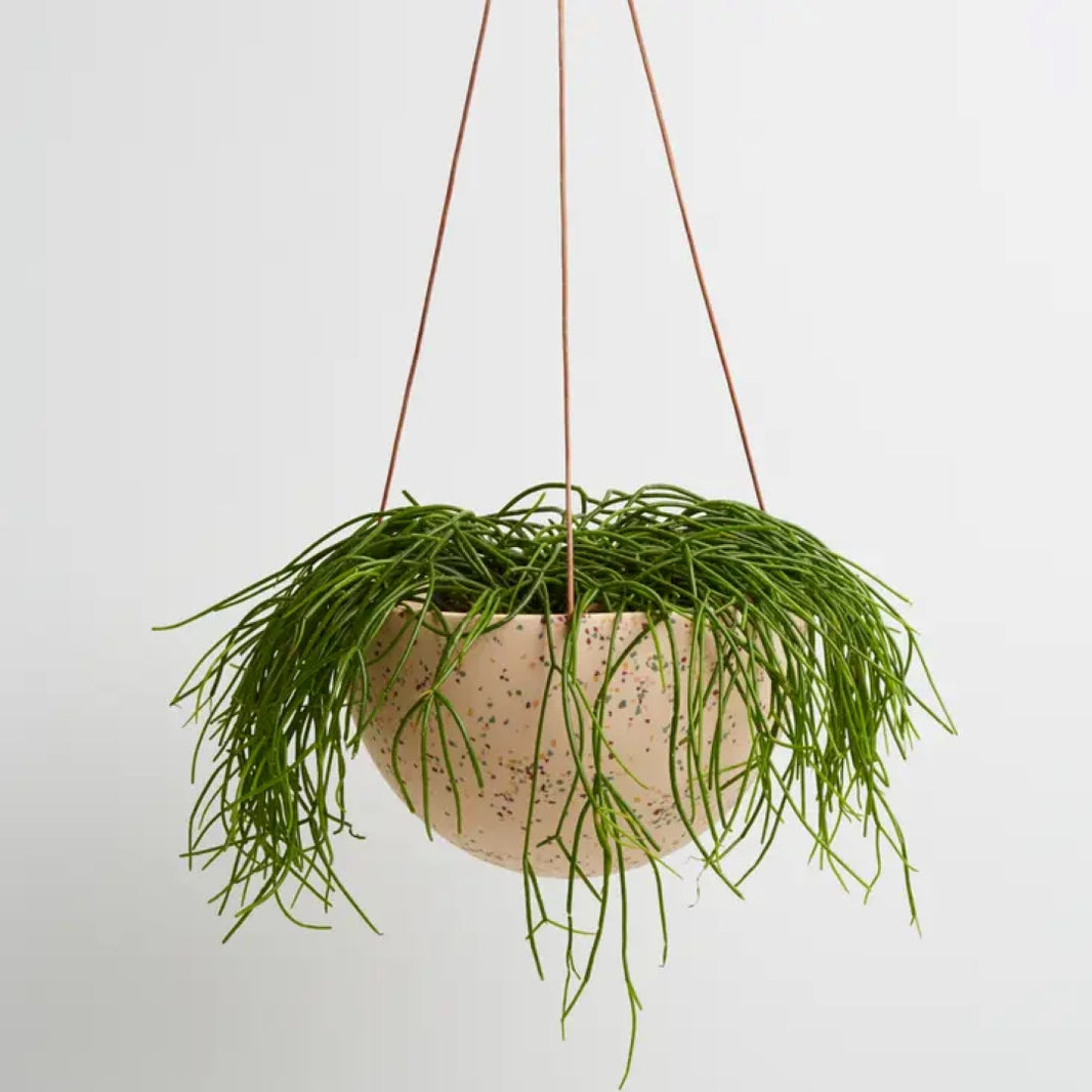 Terrazzo Dome Hanging Pot - Salt