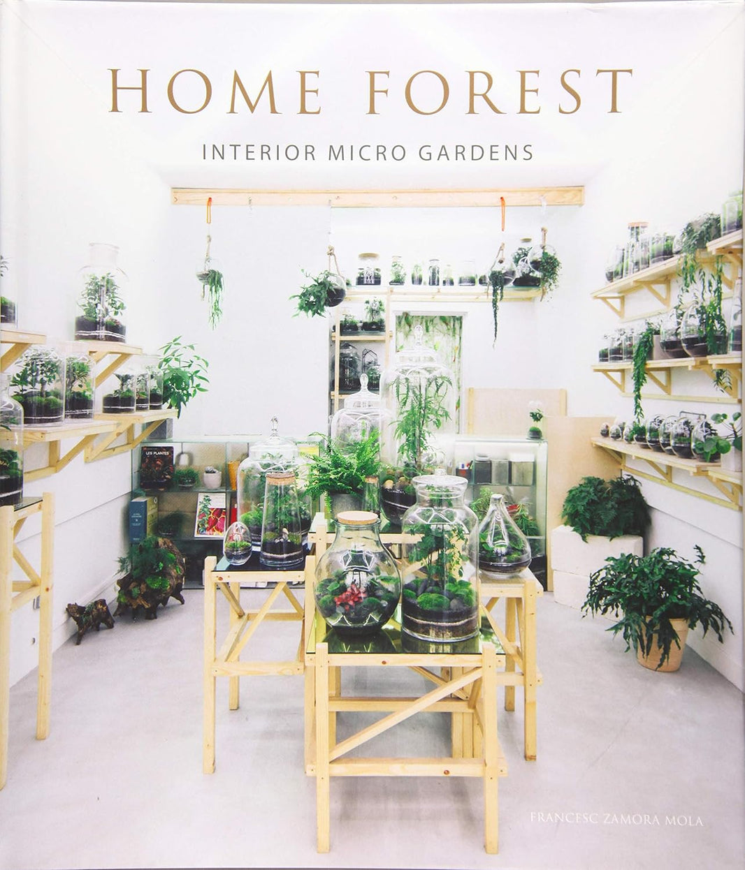 Home Forest: Micro Gardens At Home