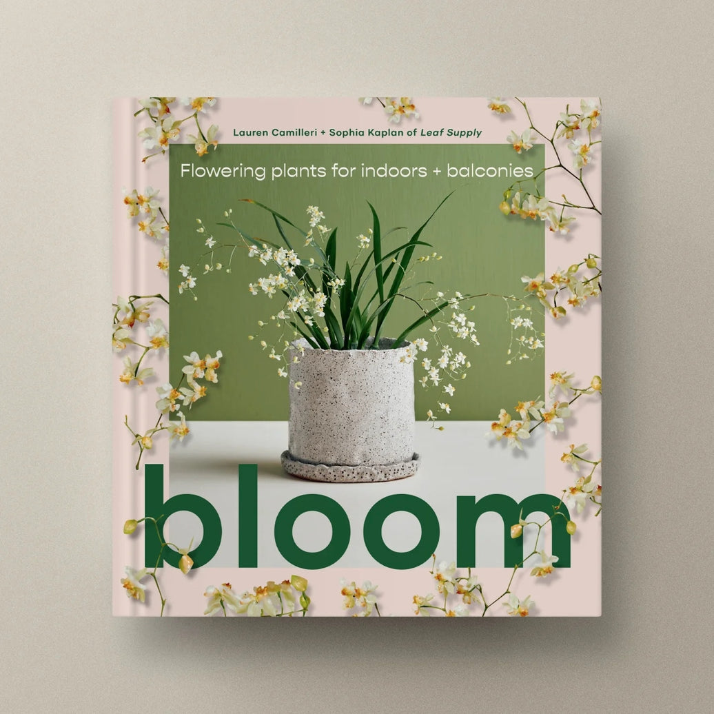 Bloom: Flowering Plants for Indoors and Balconies