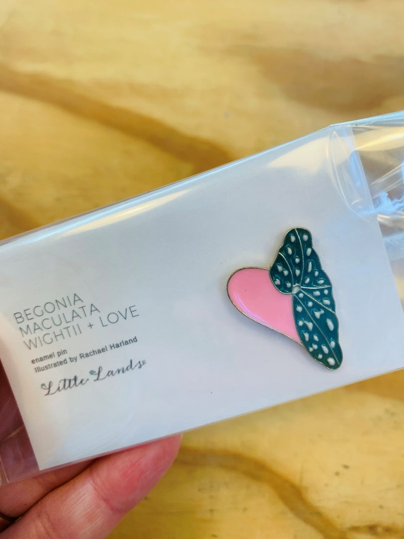 Begonia maculata wightii + love enamel pin