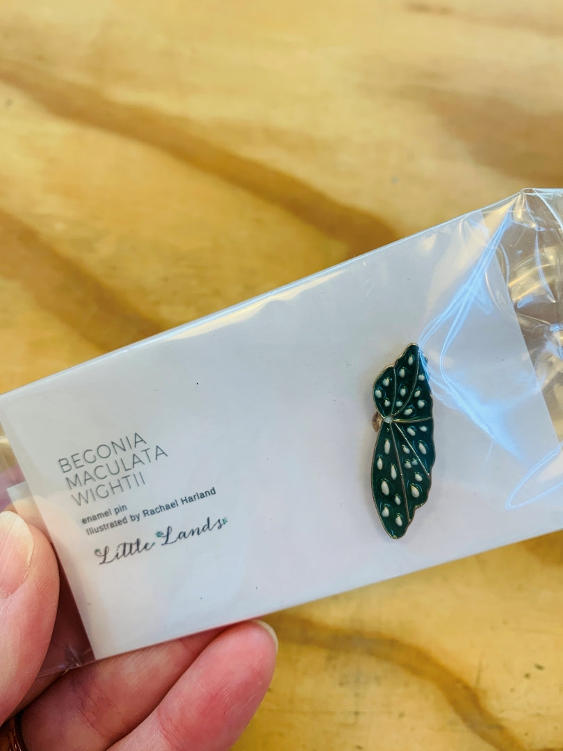 Begonia maculata wightii enamel pin