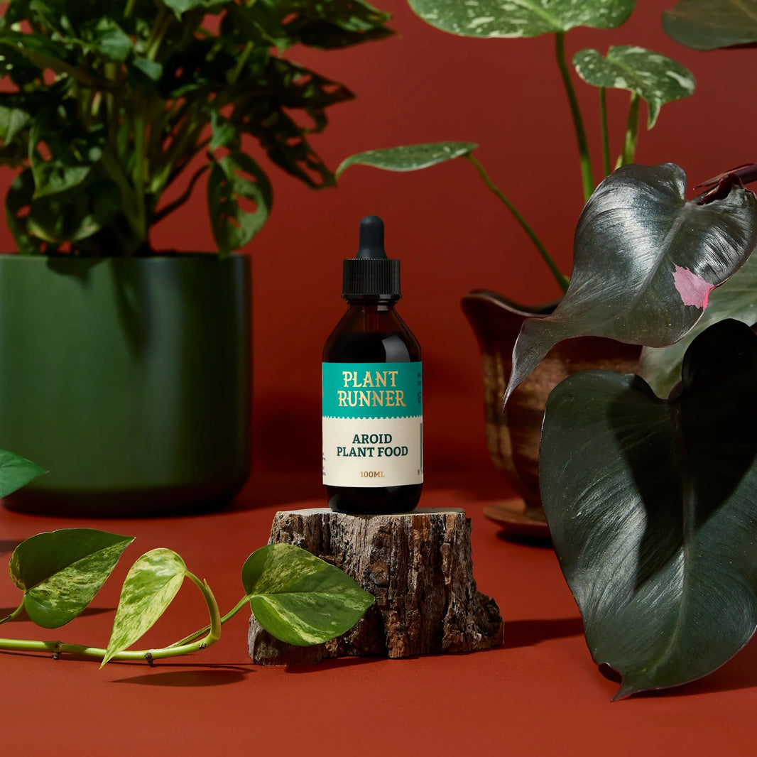 Aroid Plant Food