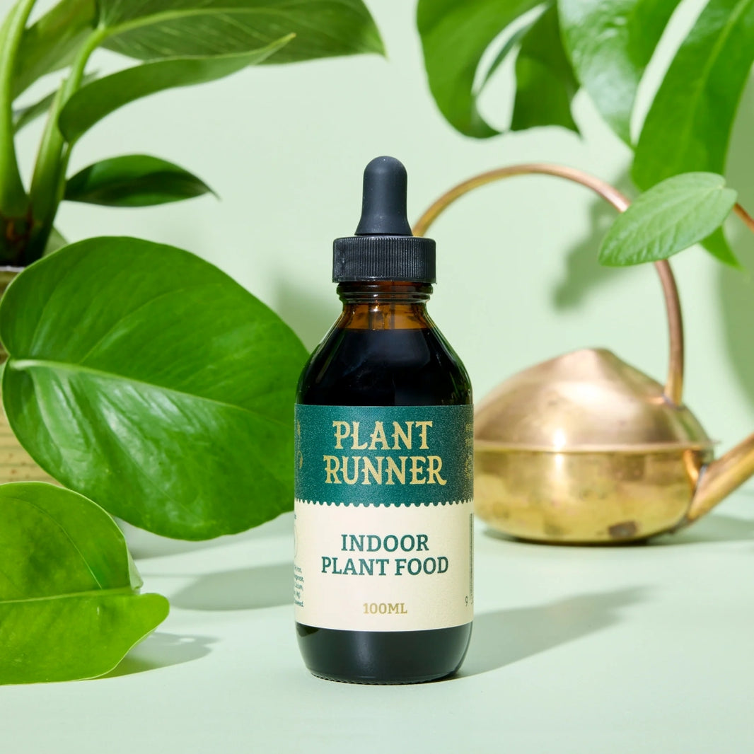 Indoor Plant Food