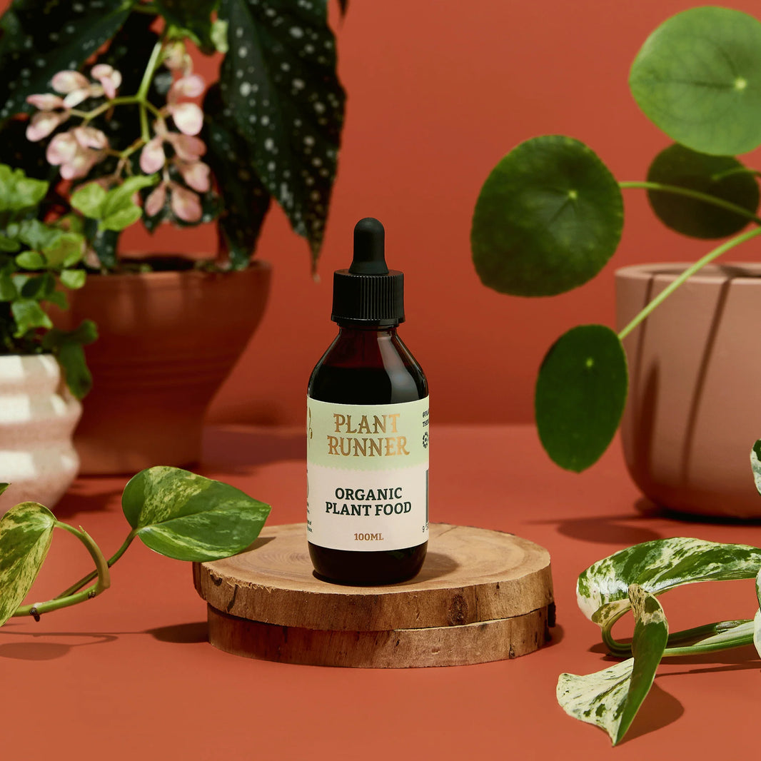 Organic Plant Food