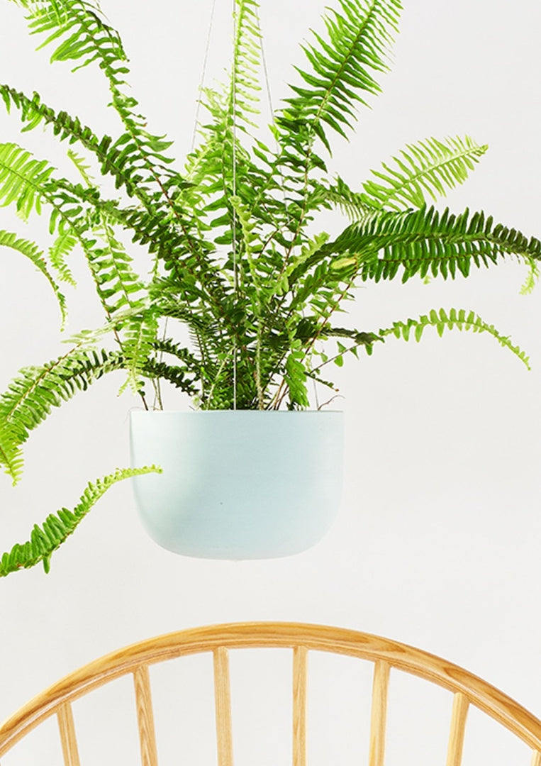 Raw Earth Hanging Planter Shale Green