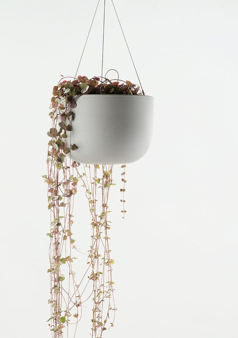 Raw Earth Hanging Planter Siltstone Grey