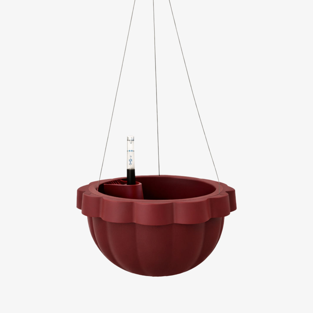 Poppy Self Watering Hanging Planter - Rhubarb