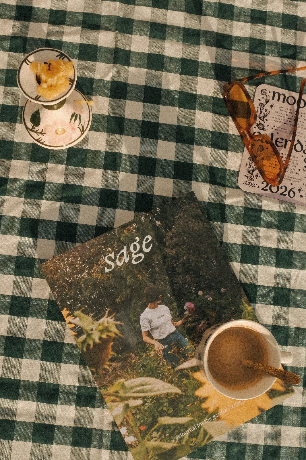 Sage Journal Volume 1
