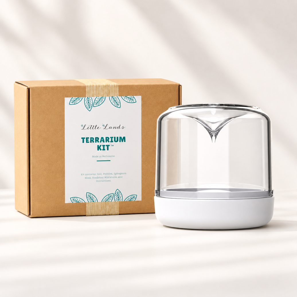 Sanctuary DIY Terrarium Gift Bundle