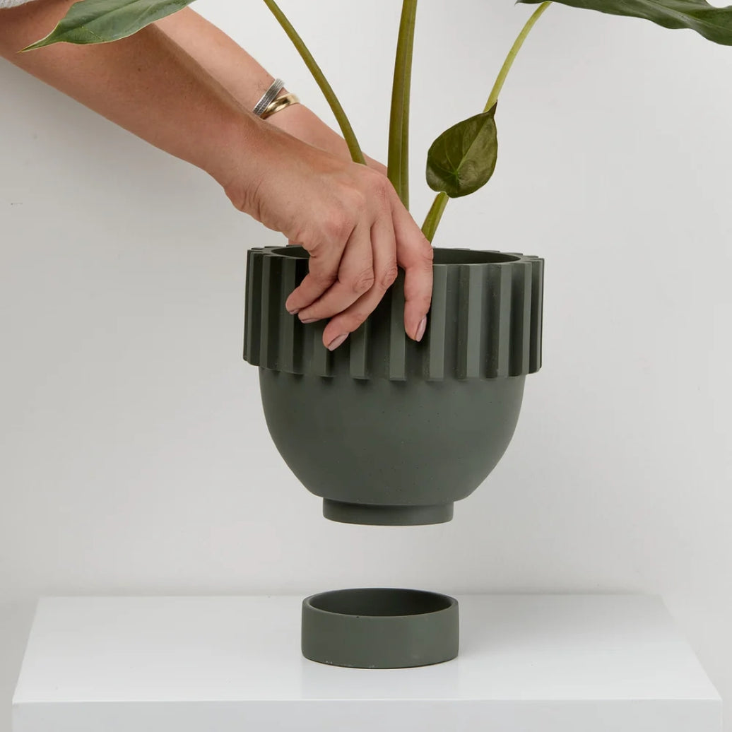 Solstice Pot - Agave