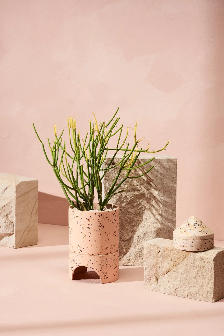 Archie Pot Salt Terrazzo