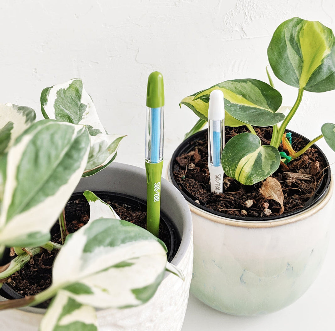 Sustee Soil Moisture Sensor - Small (Pots up to 12cm)