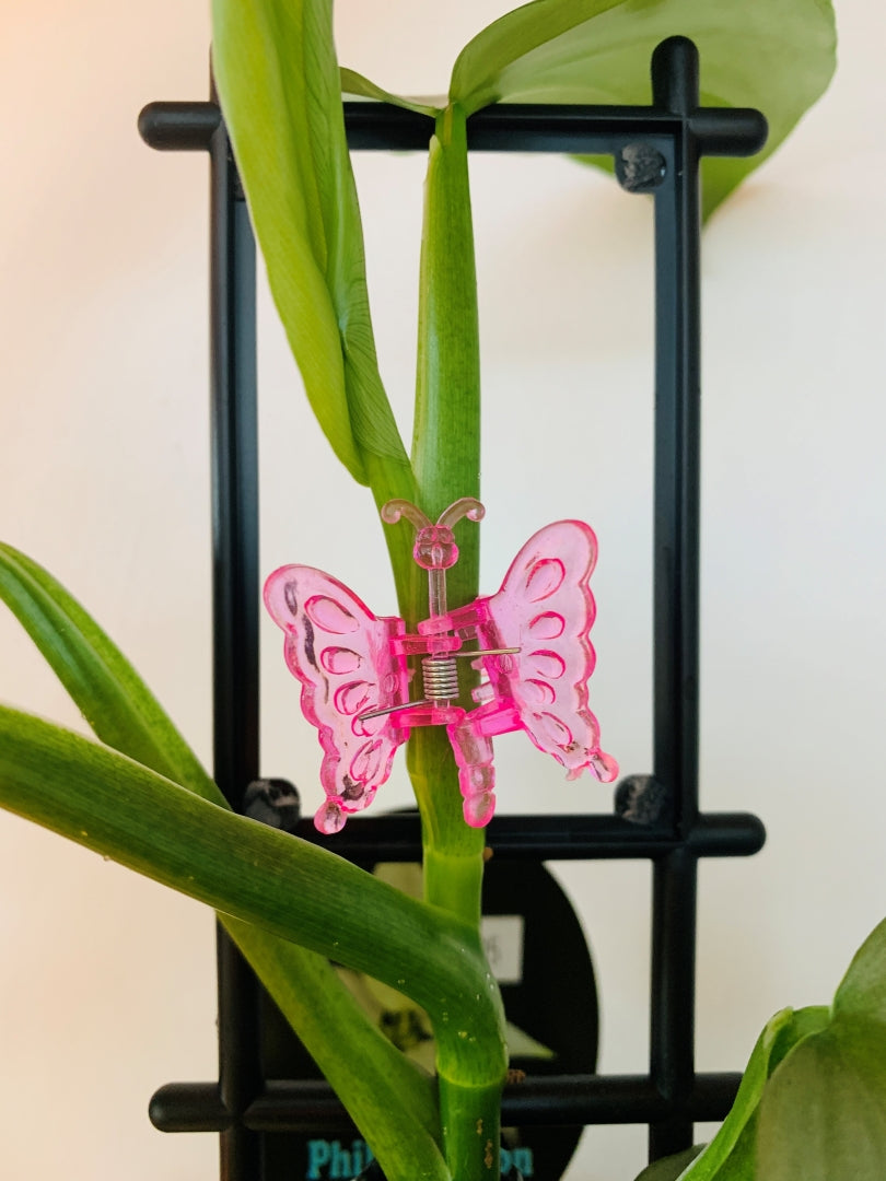 Bug Plant Clips - 8 pack