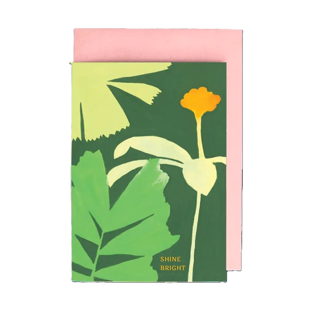 Daintree Greeting Card