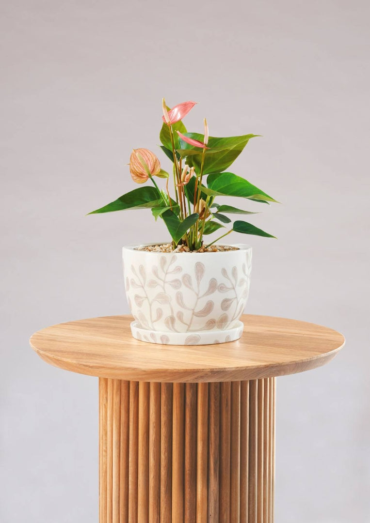 Decorative Plant Pot - Blush Leaves