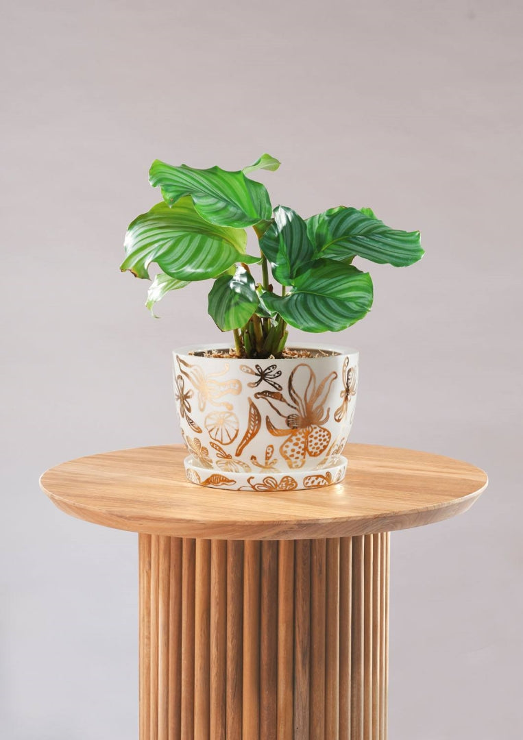 Decorative Plant Pot - Gold Garden