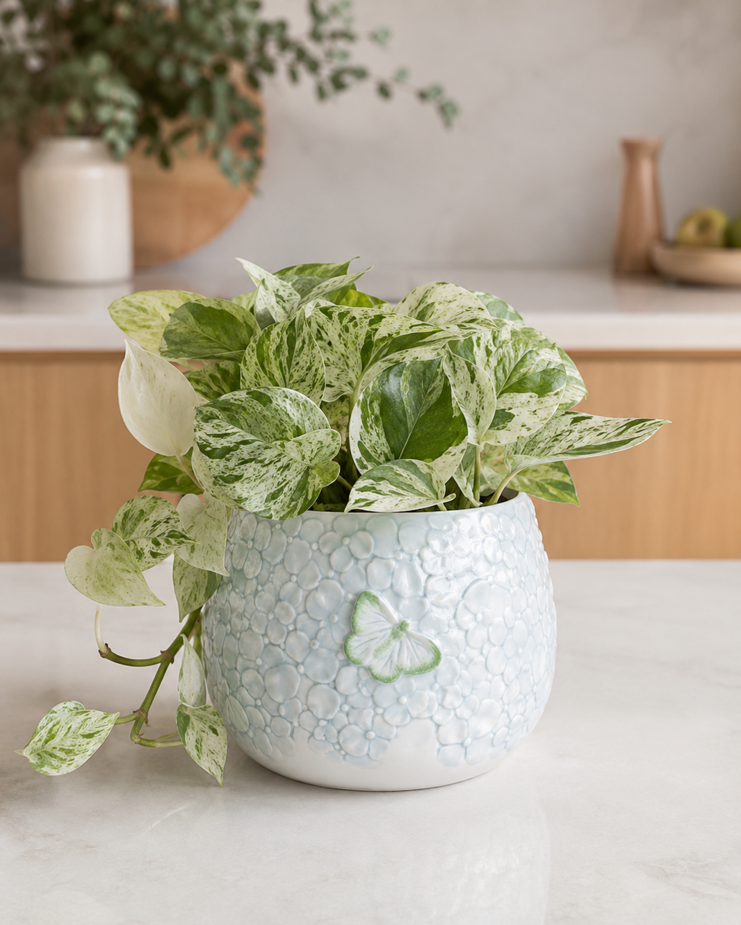 Eliza Ceramic Pot