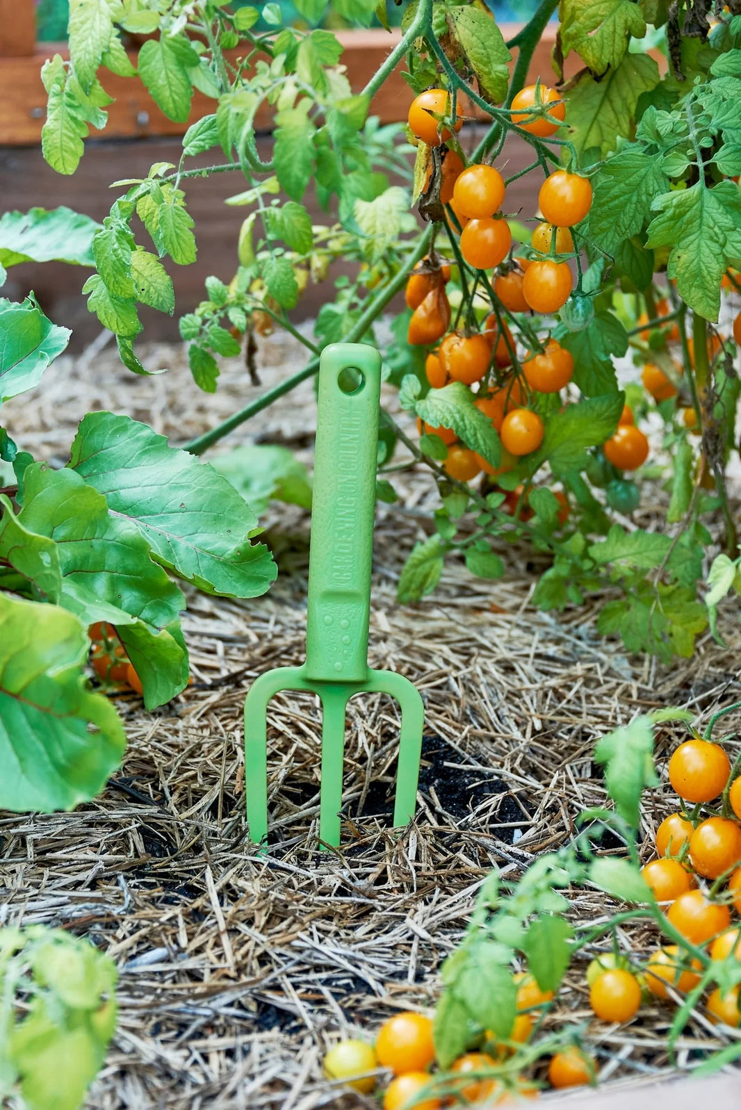 Casso Fork - Kakadu Green