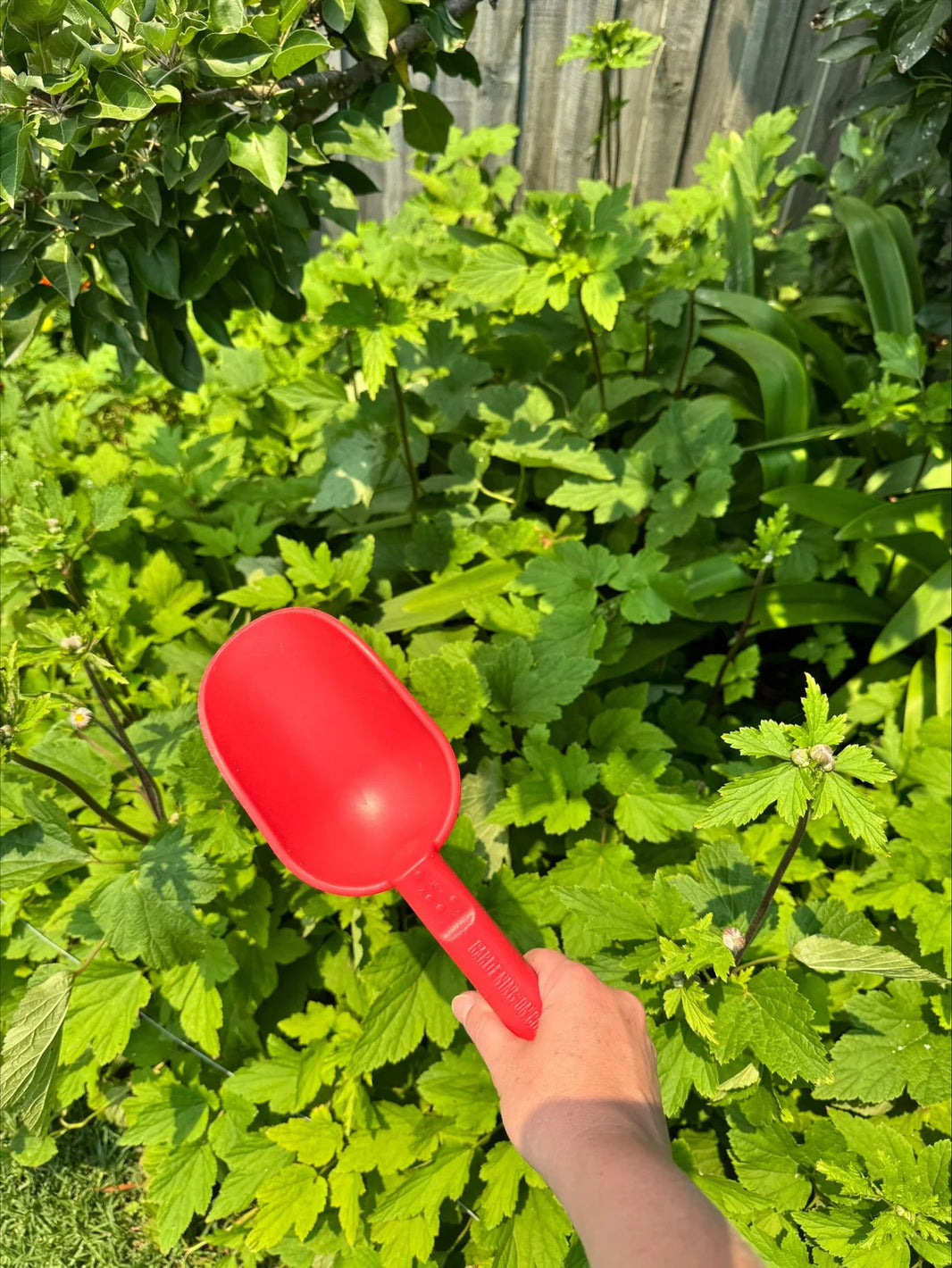 Peli Scoop - Red Earth