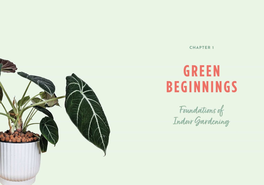 Plant Parenting for Busy People