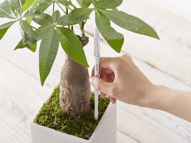 Sustee Soil Moisture Sensor - Large (Pots 18cm+)