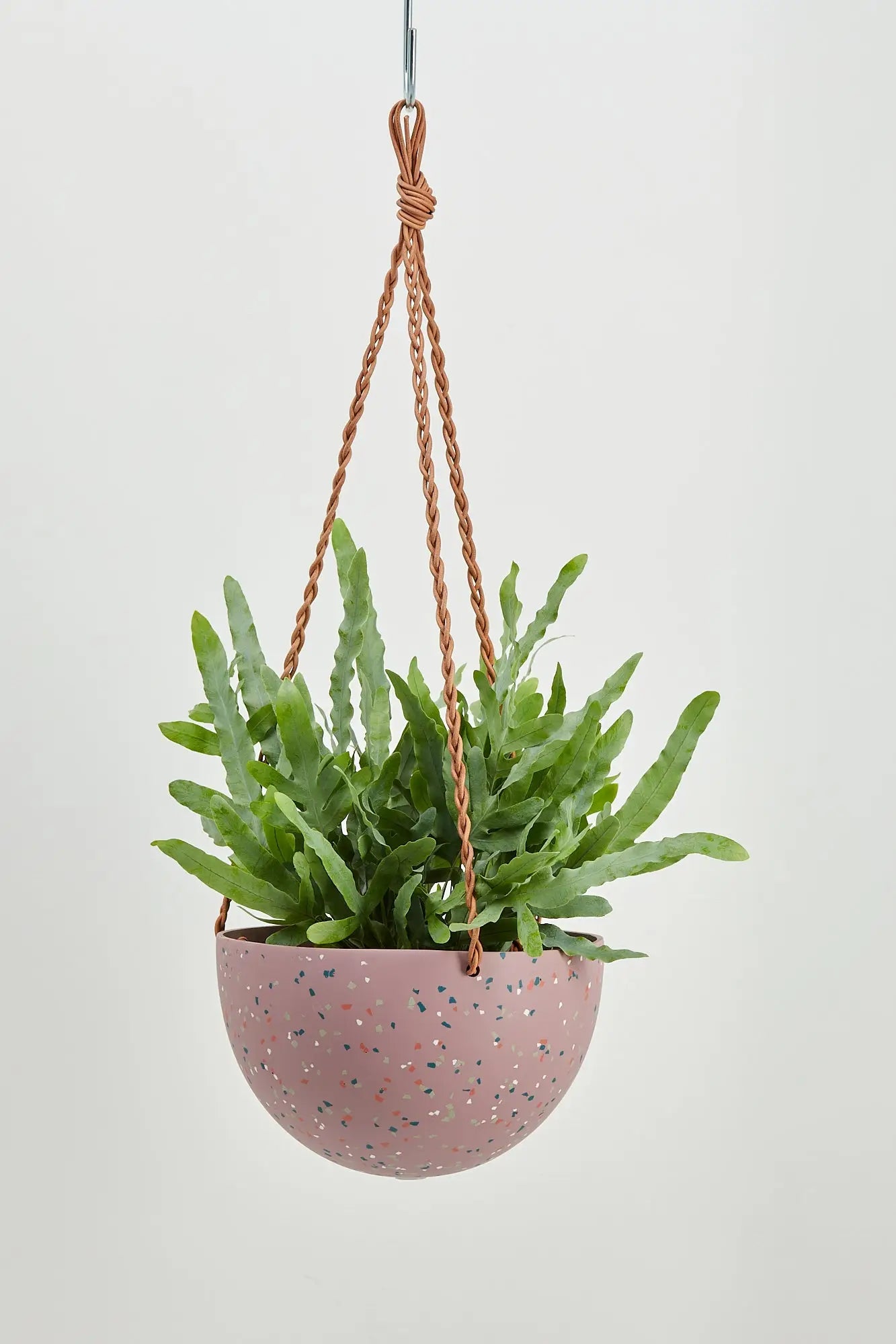 Hanging Pots & Planters