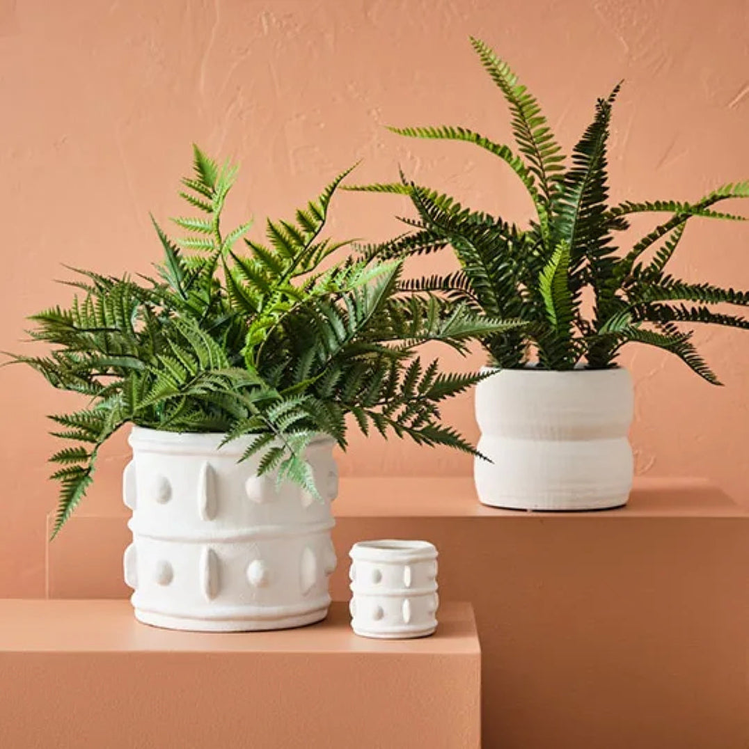 Decorative Cover Pots
