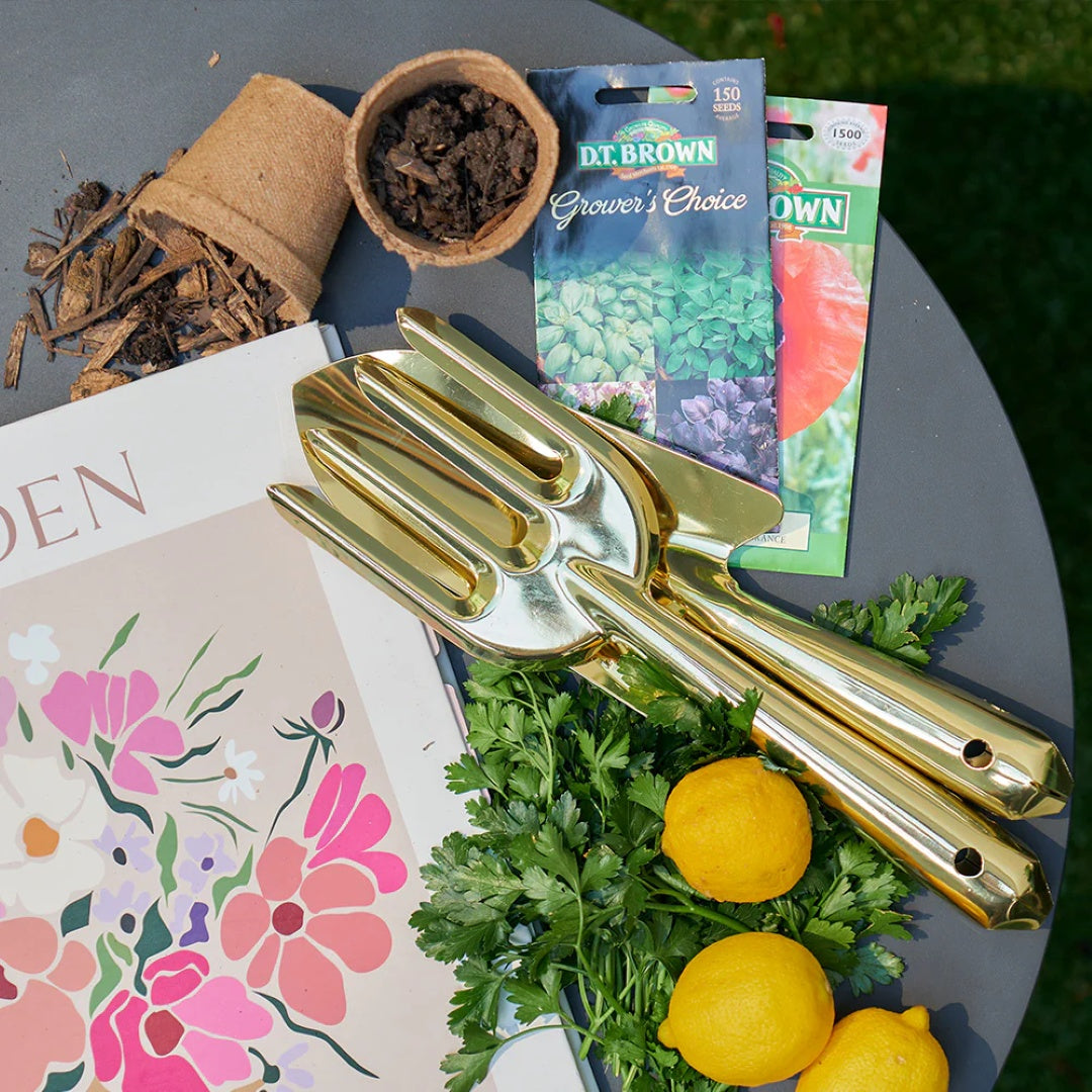Gardens & Outdoors