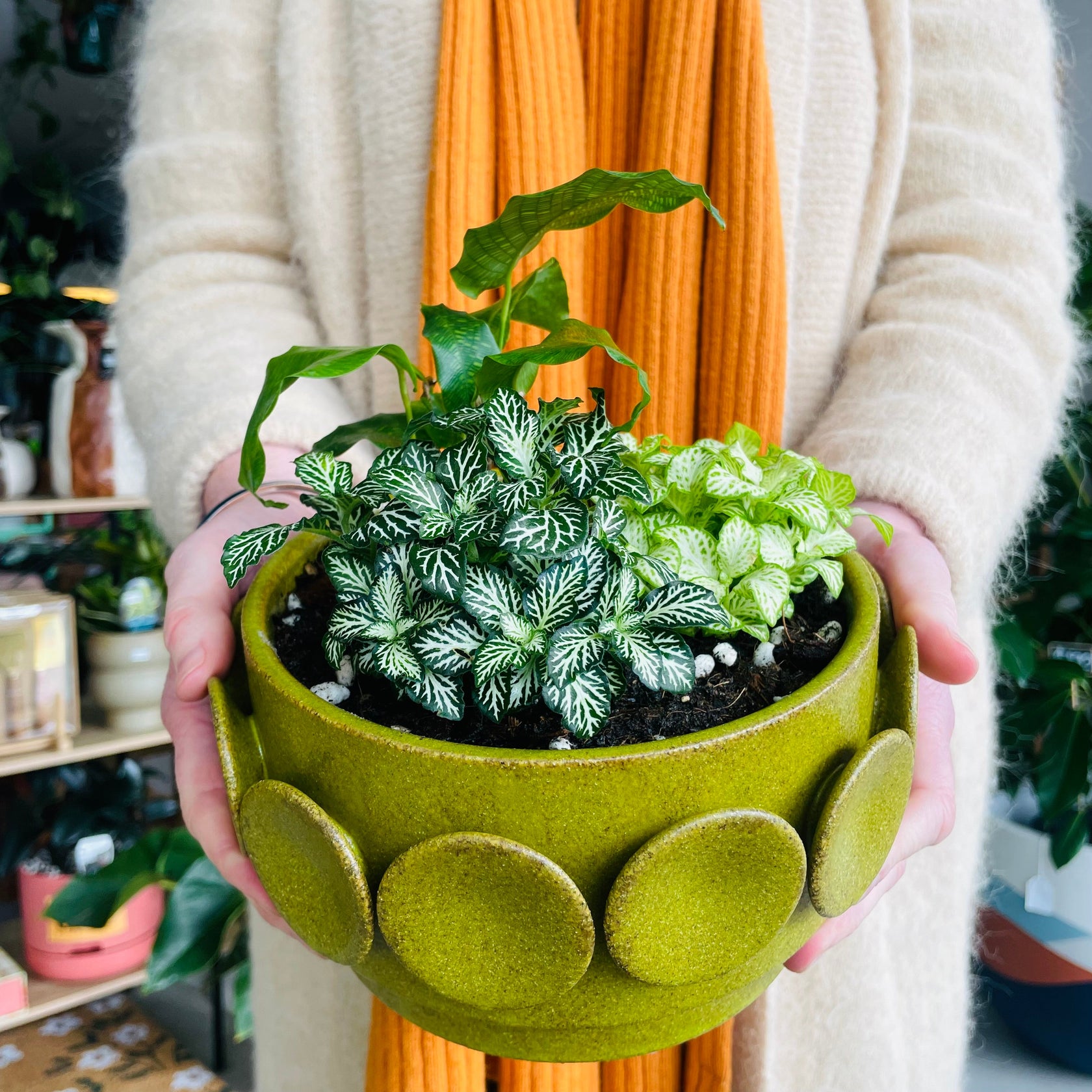 Pre-potted Plants