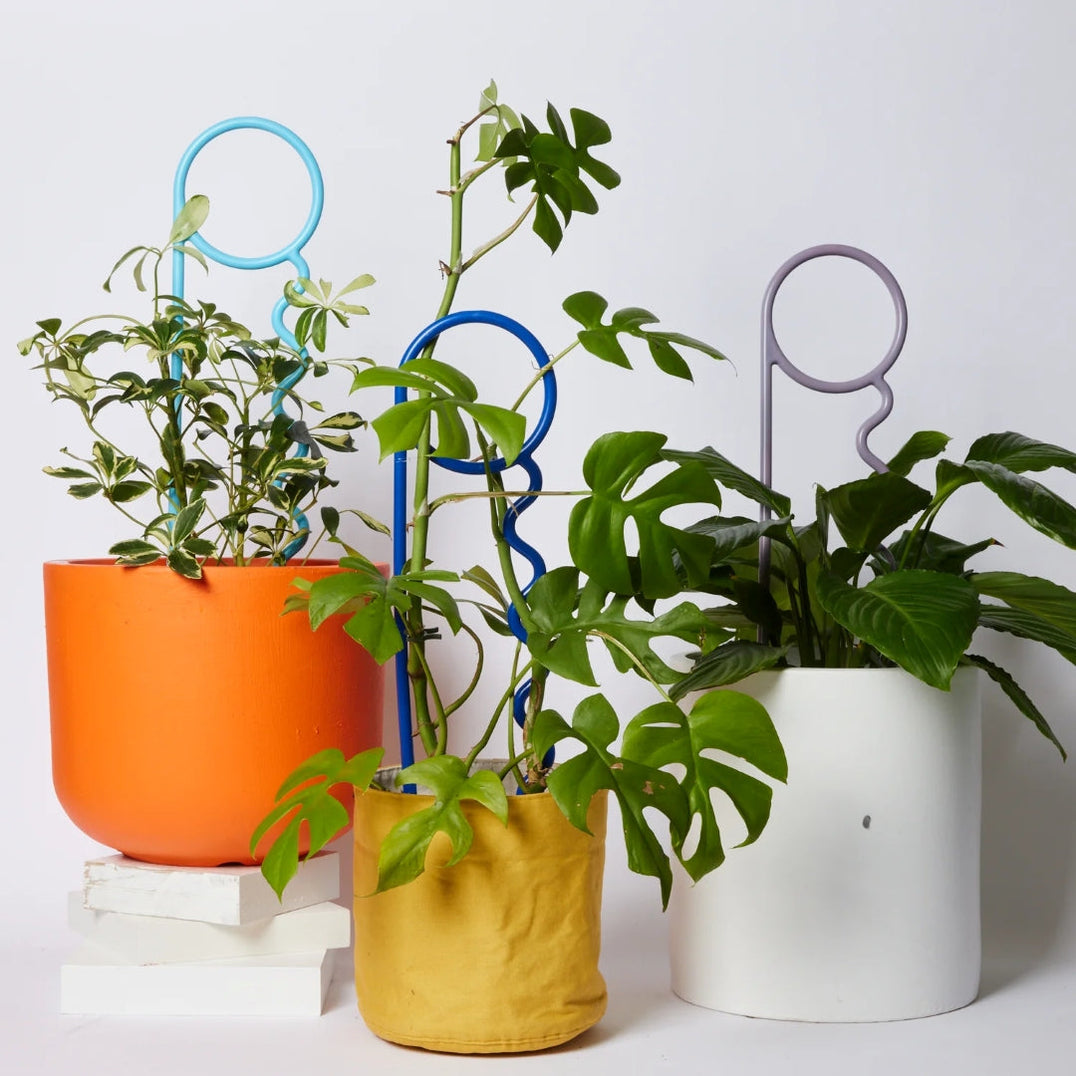 Plant Totems, Stakes and Pins