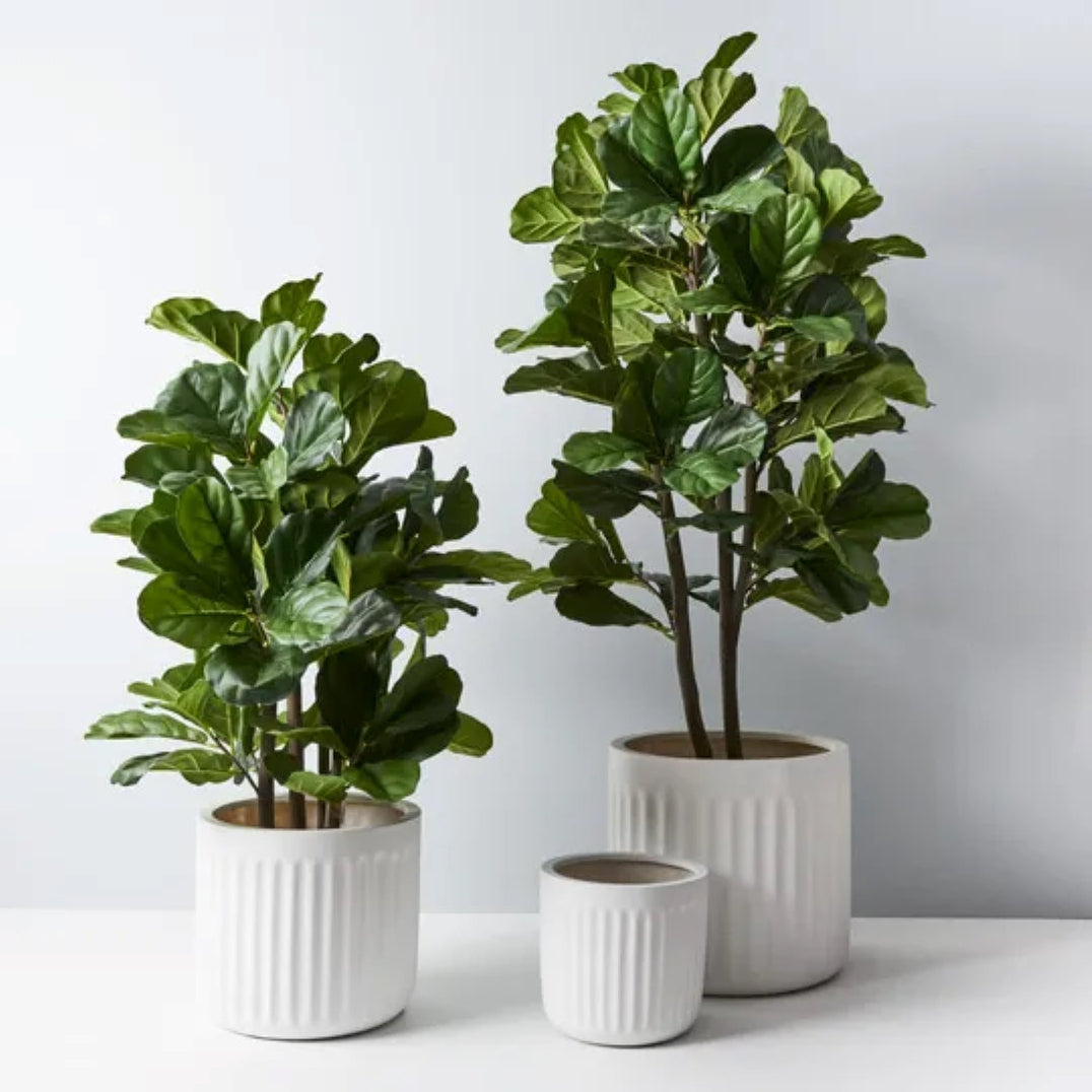 Lightweight Pots