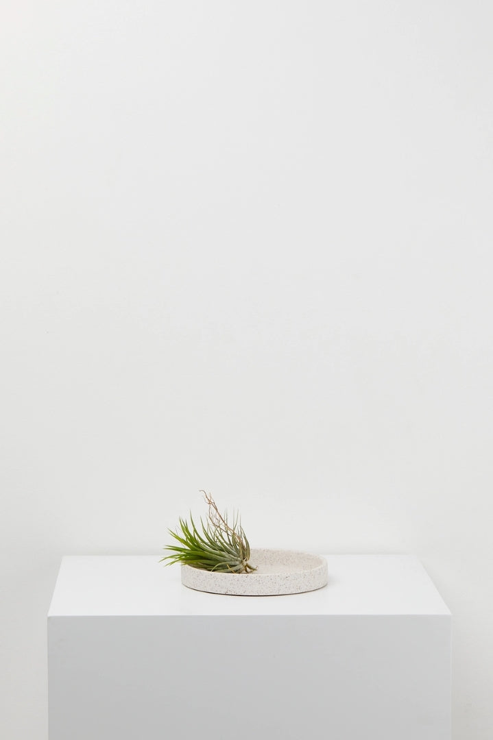 Speckled Tray White w/ Clay Speckle Medium