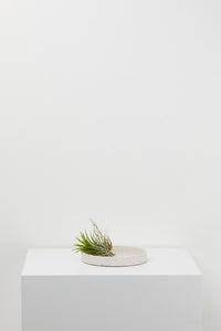 Speckled Tray White w/ Clay Speckle Medium