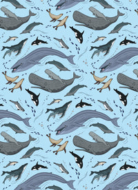 The Museum Unwrapped Wrapping Paper Book