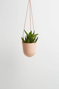 Block Colour Hanging Pot Salt