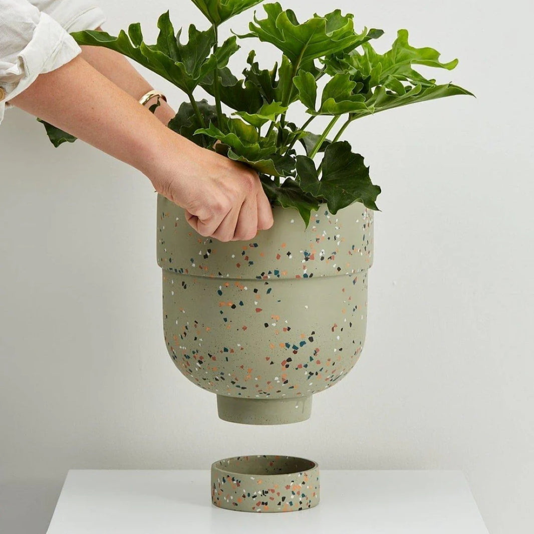 Funnel Planter Gum Leaf Terrazzo