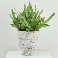 Funnel Planter White Terrazzo
