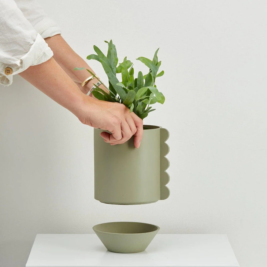 Frill Feature Planter