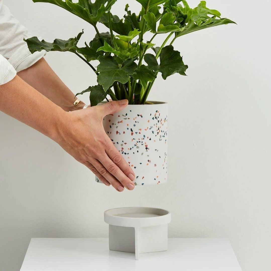 Tri Planter (2 Colours)