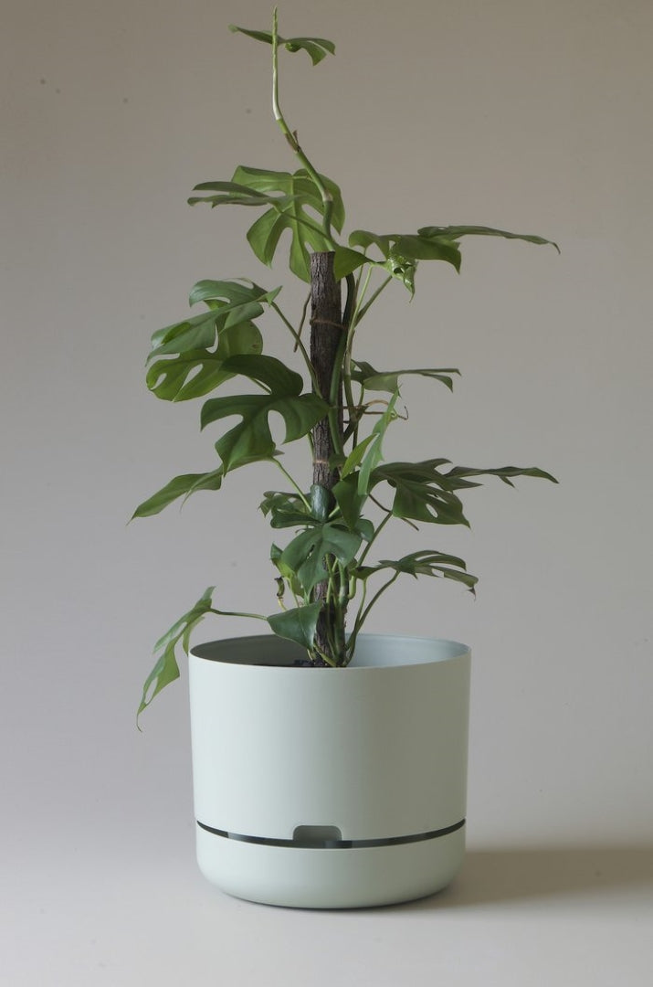 300mm Selfwatering Plant Pot