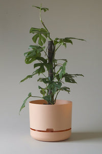 300mm Selfwatering Plant Pot