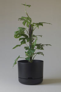 300mm Selfwatering Plant Pot