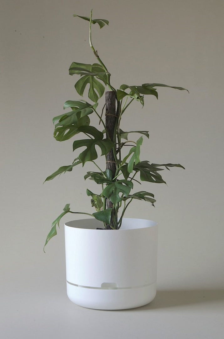 300mm Selfwatering Plant Pot