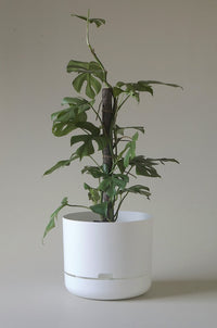 300mm Selfwatering Plant Pot