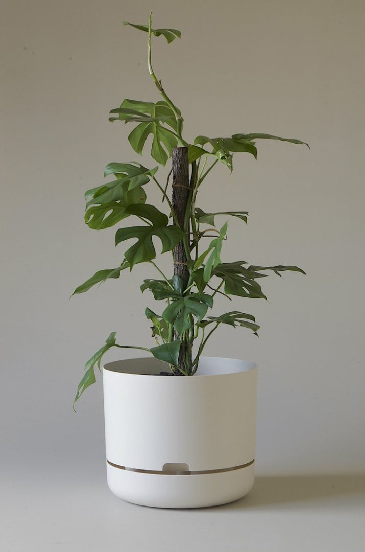 300mm Selfwatering Plant Pot
